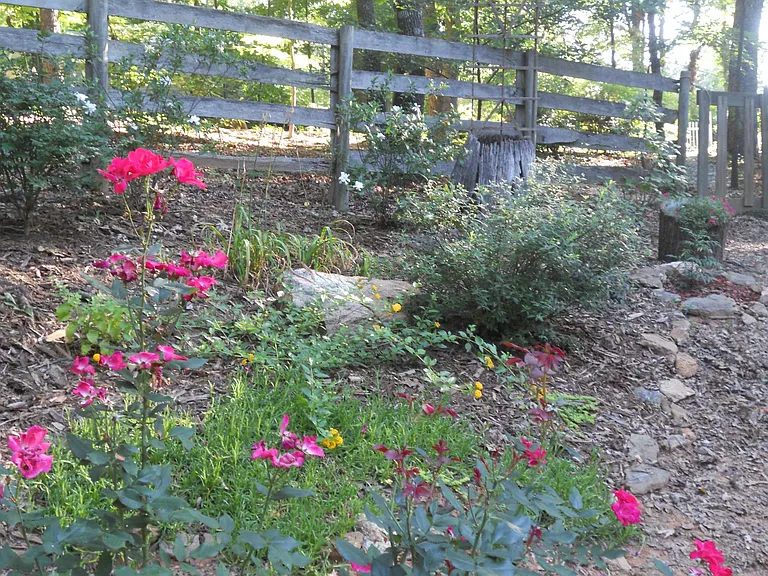 Large private lot