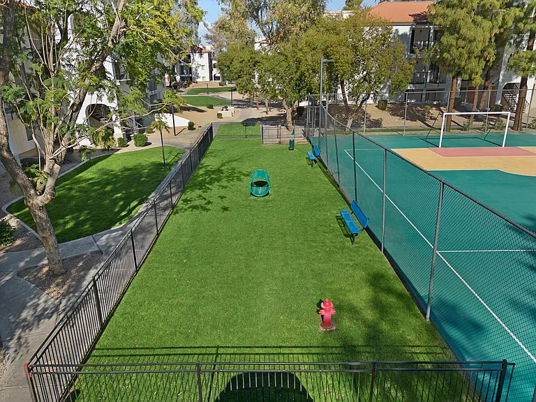 Solas Glendale — Photo 18