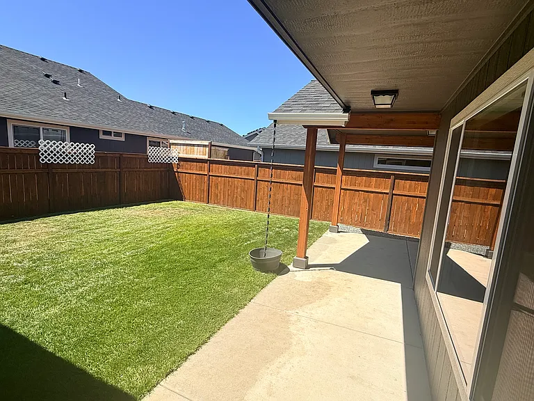 Backyard_06292026