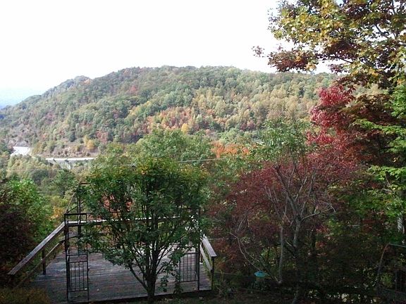 View in the fall