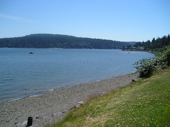 Great Beach for Crabbing