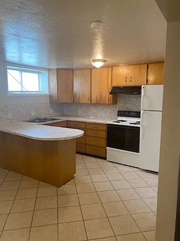 346 W Lovejoy — Photo 23