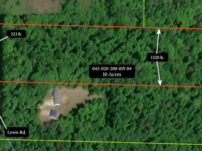 V/L 10AC Lewis Rd, Vanderbilt, MI, 49795