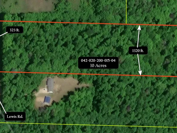 V/L 10AC Lewis Rd, Vanderbilt, MI 49795