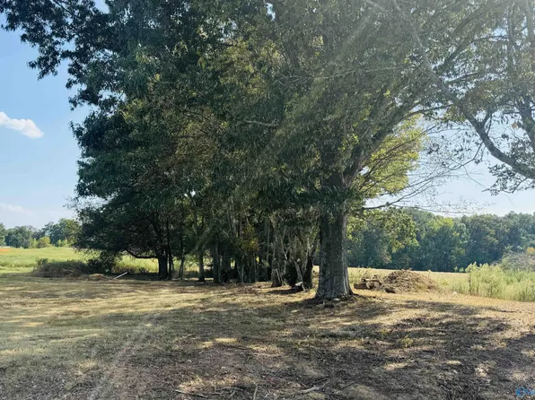 TRACT 1 Lapington Rd, Athens, AL 35614