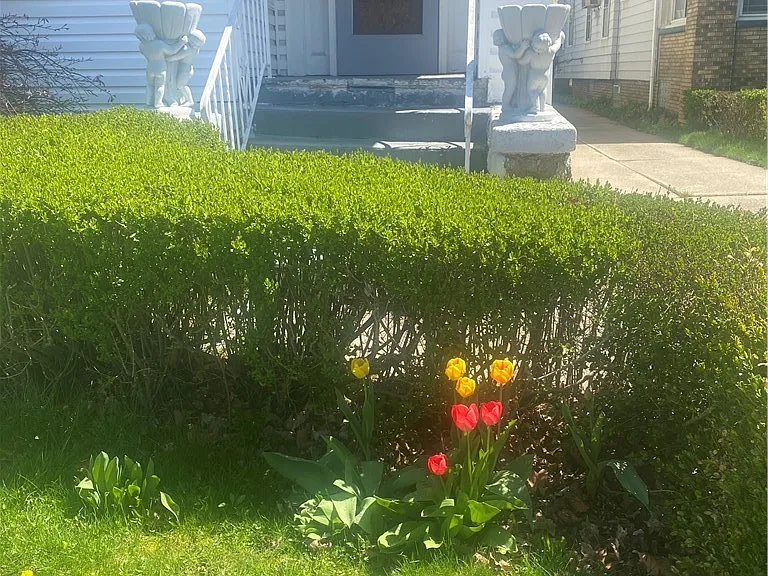 179 Donaldson Rd — Photo 2