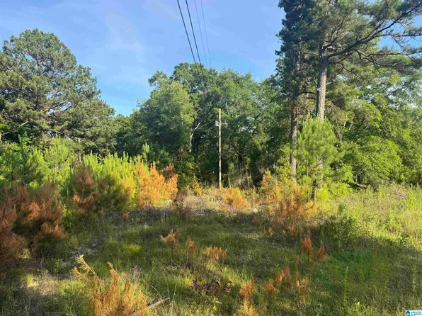 1162 County Road 40 #1, Salem, AL 36874