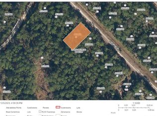 129 Longtree St #51, Georgetown, FL 32139