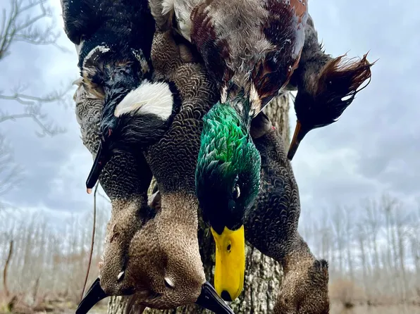 County Road 127, Union, MS 39365