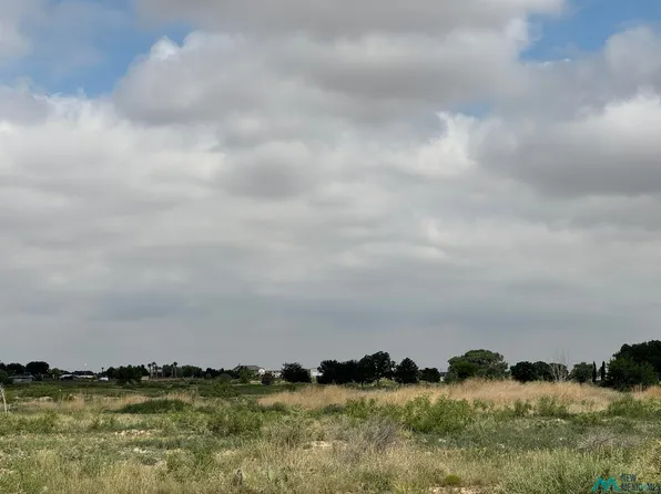 Artesia Cc, Artesia, NM 88210