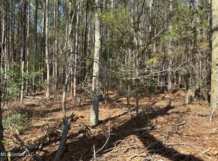 Lawrence Hazel Rd, Lawrence, MS 39336