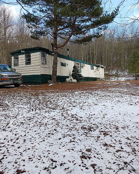 1003 Briscoe Rd, Swan Lake, NY 12783 Zillow