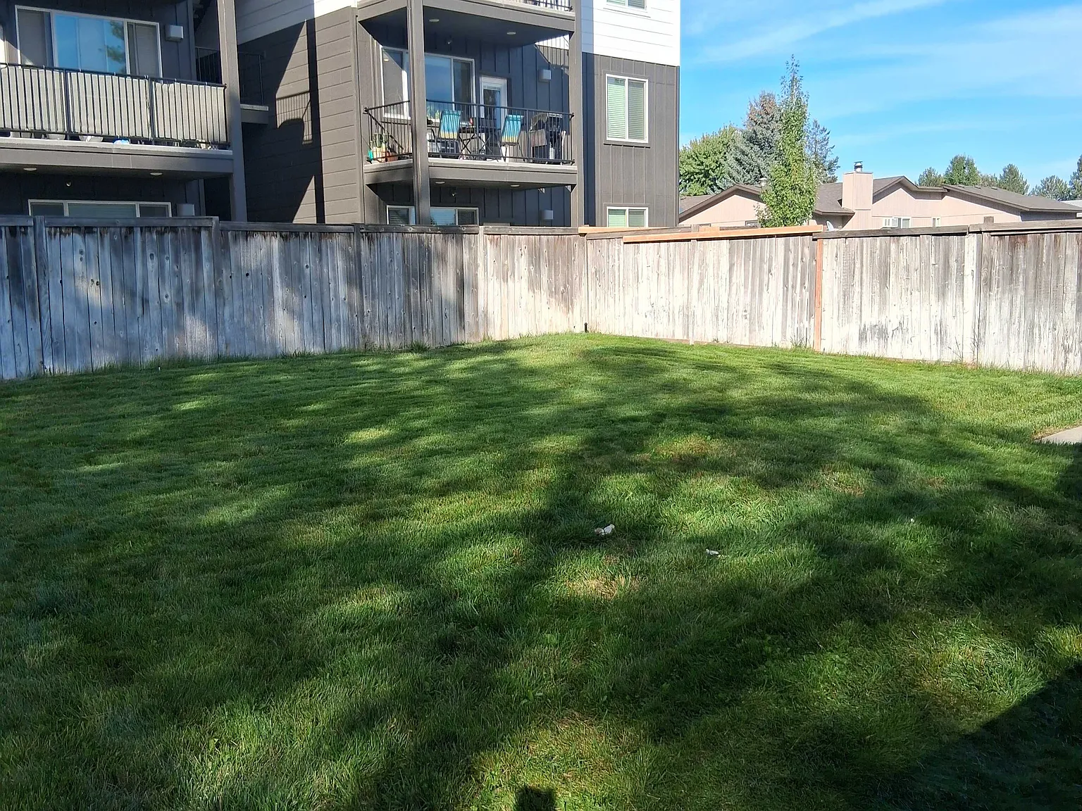 3 bed, 1.5 bath, 1800 sqft, $2,150 — Photo 4
