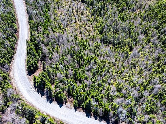 4th image of Dufferin Mines Rd #B0j-2r0