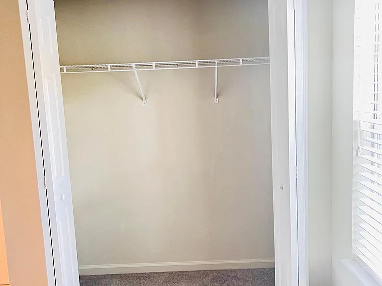 Closet in BR #2