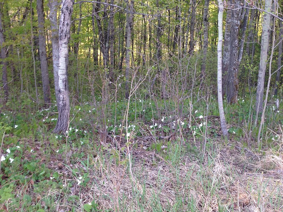 2nd image of 2533 Becks Rd