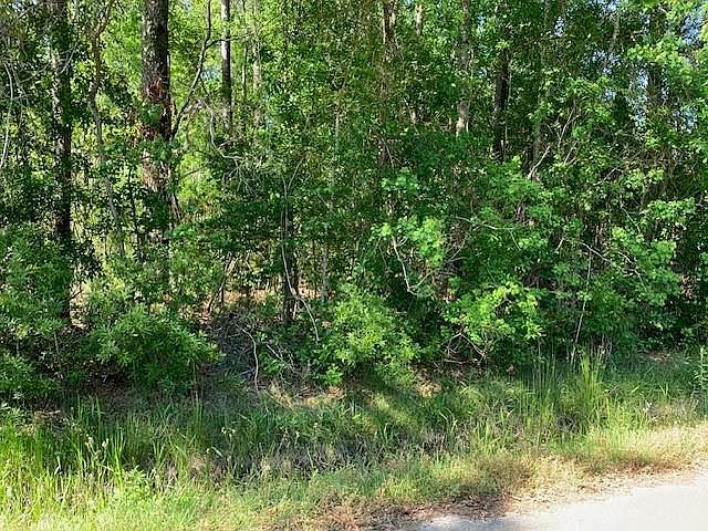 2nd image of 0 W Timberline Dr