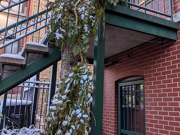 2nd image of 1261 N Wolcott Ave