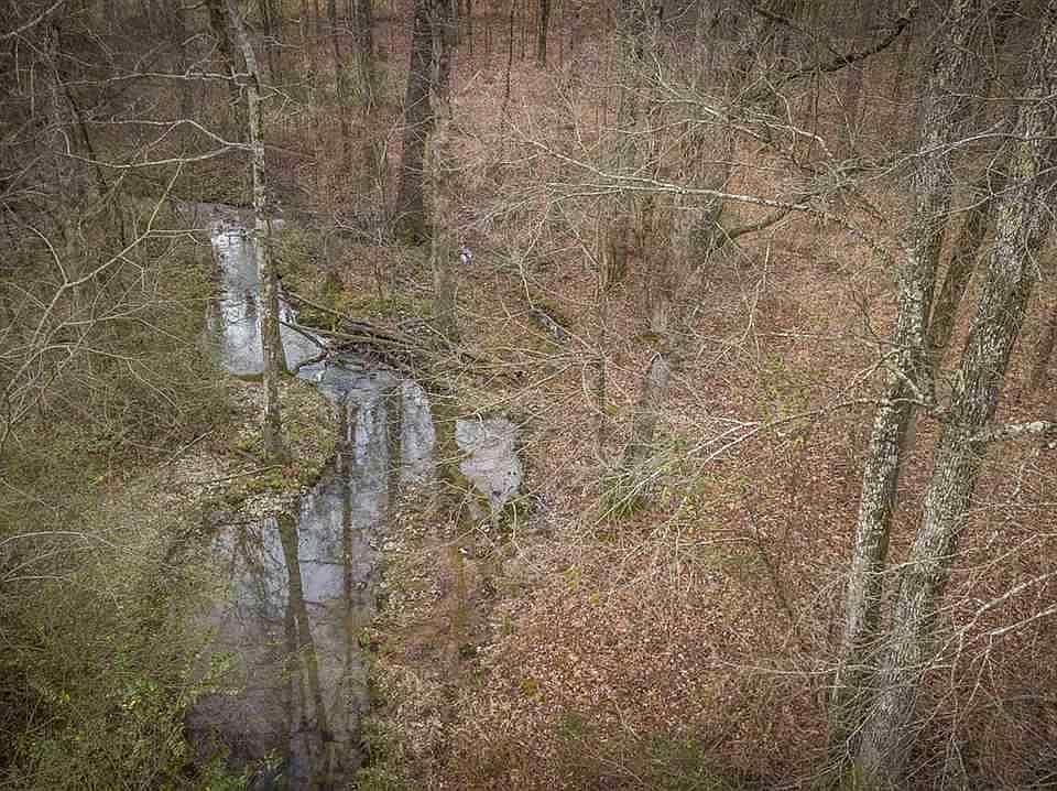 2nd image of 4824 Deer Dr