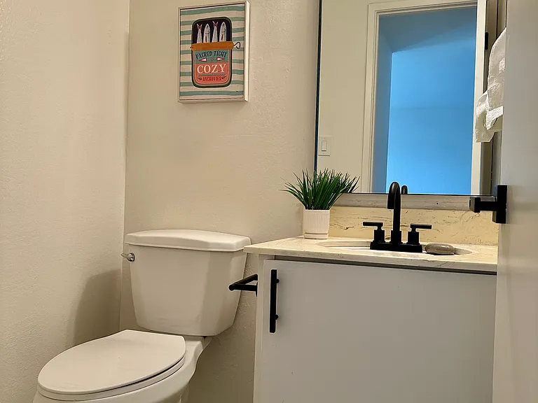 Downstairs guest bath