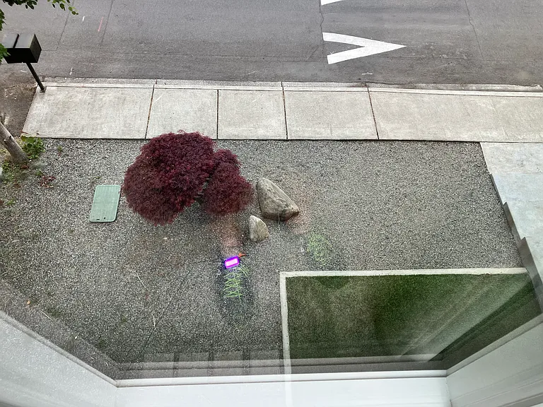 View looking down from Office: notice the generally care-free yard!