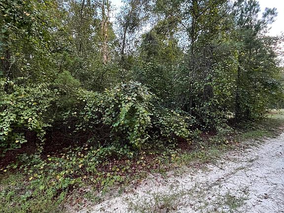 2nd image of 0 Oak Drive