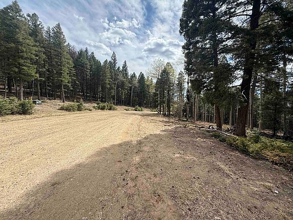 2nd image of Lot 13 Back Basin Rd