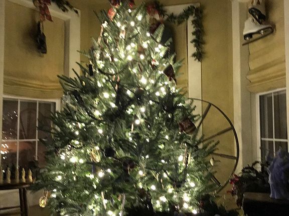 Bay Window in Livingroom