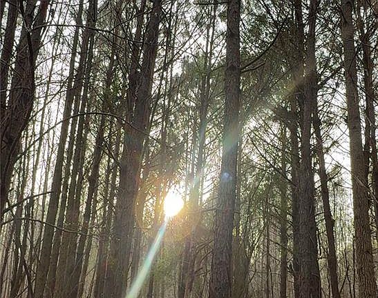 4th image of 0 Mack Rd