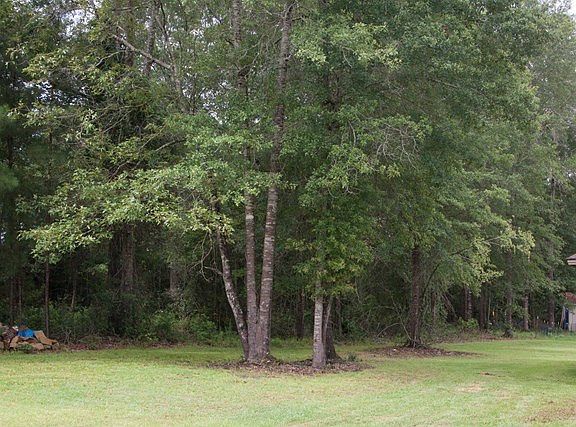 5th image of 216 White Oak Ln
