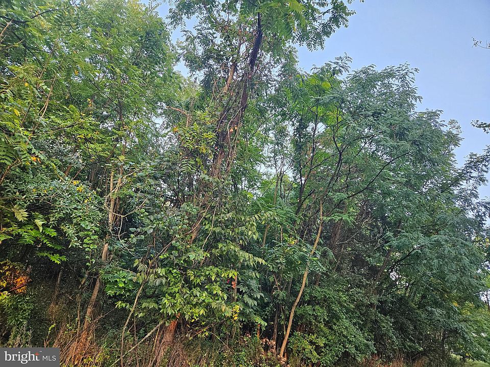2nd image of LOT 3 Chickloon Ln