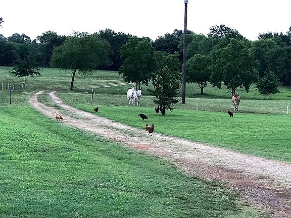 2nd image of 1617 County Road 813