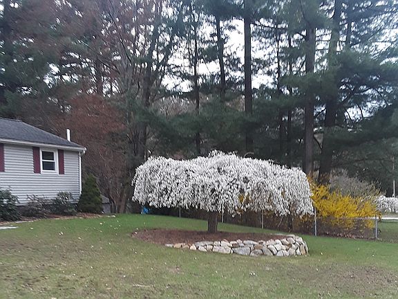 4th image of 15 Yarmouth Dr