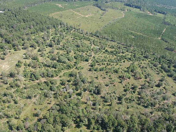 4th image of TRACT 4 Private Road 8385