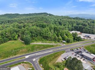 10 Clyde Curtis Dr, Hayesville, NC 28904