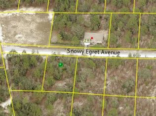 12152 Snowy Egret Ave #2, Brooksville, FL 34614