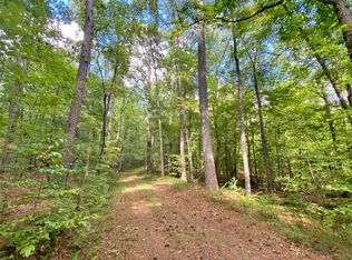Whitepath Rd, Ellijay, GA 30540