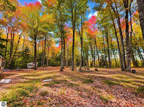 Three, Kalkaska, MI 49646