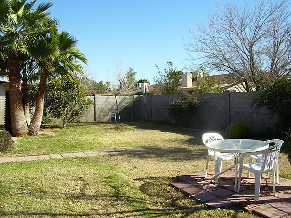 Backyard, bring your dog!