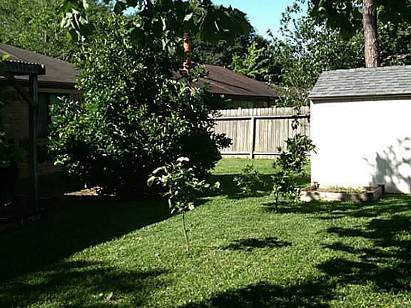 THE KIDS WILL LOVE THIS BACKYARD!!!