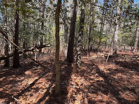 3rd image of LOT 1897 Buccaneer Blvd