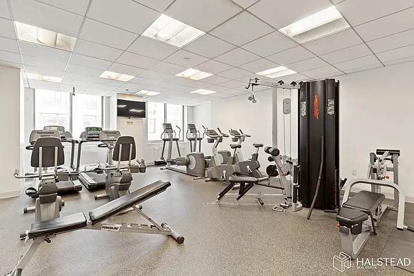 Rented by Halstead Real Estate | media 22