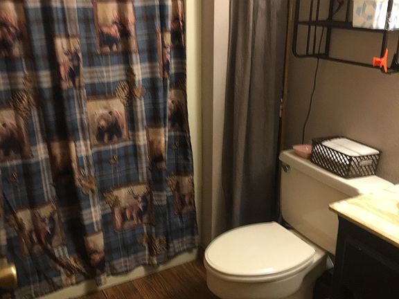 Basement Bathroom 