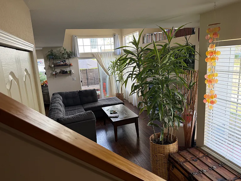 partial view of the living room