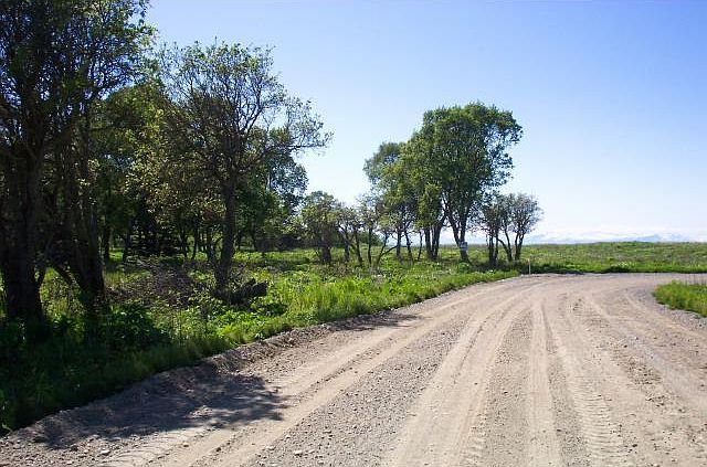 2nd image of Mi 131 Sterling Hwy