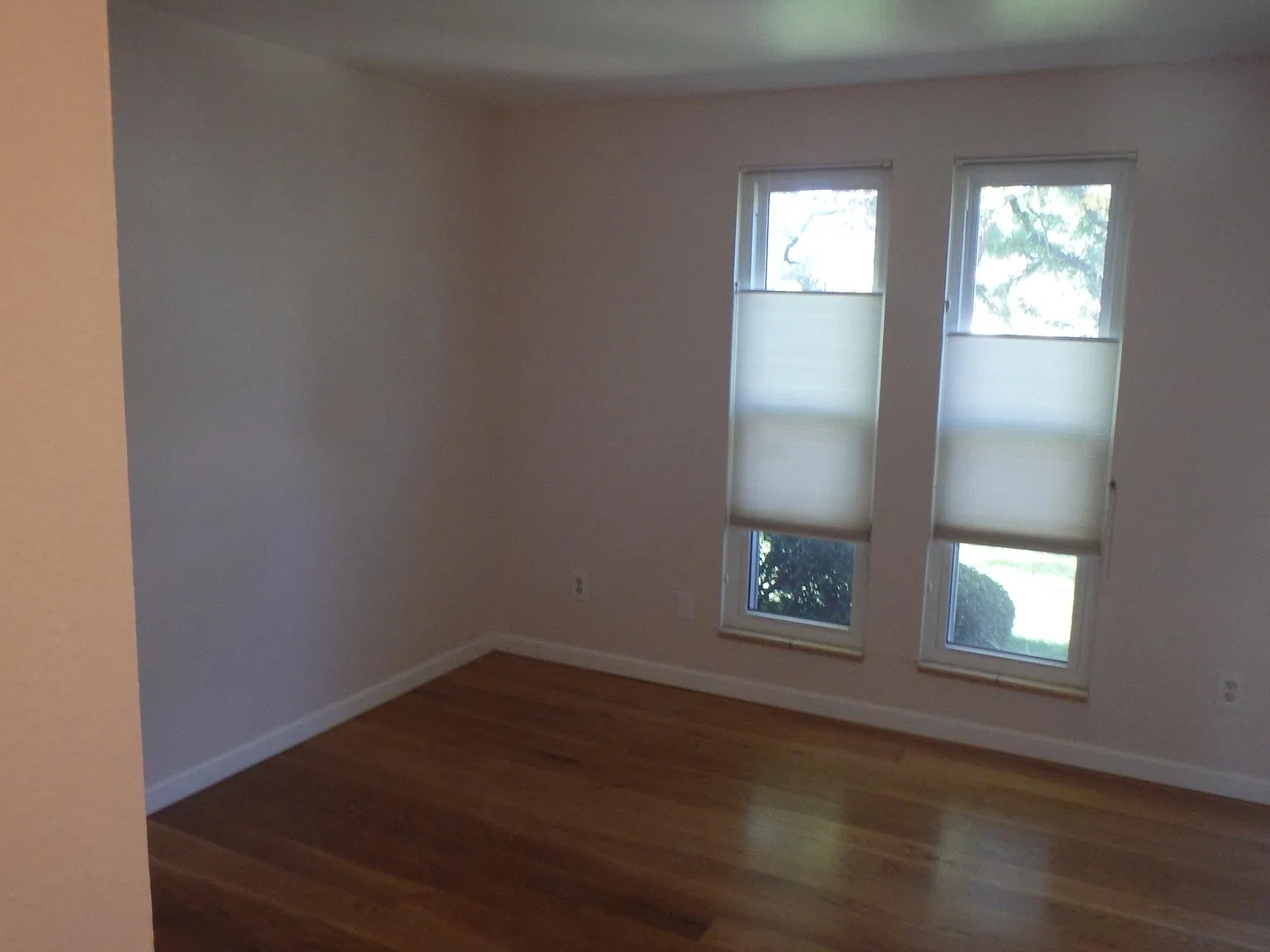 2 bed, 1000 sqft, $2,000 — Photo 3