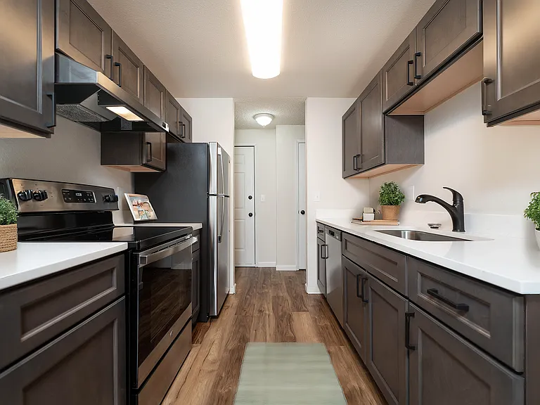 Experience culinary delight in this sleek and modern kitchen designed for functionality and style.