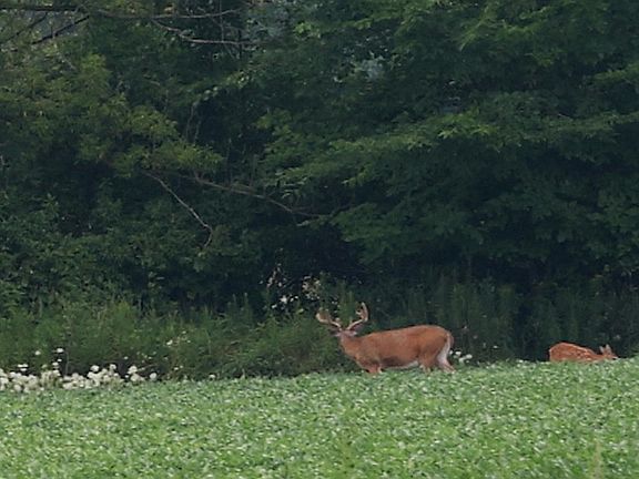 5th image of 38/ACRE S County Rd N