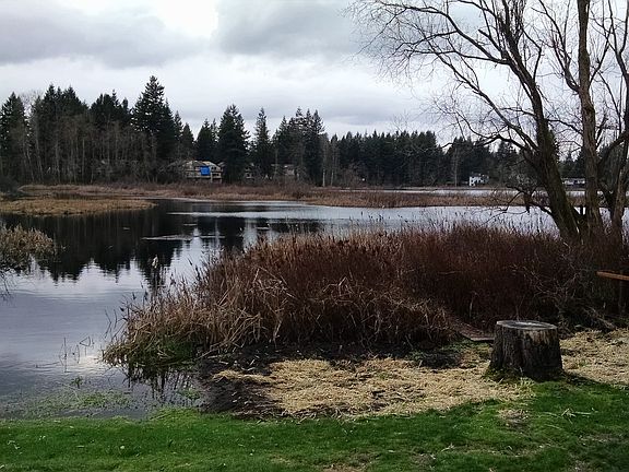 View from the deck