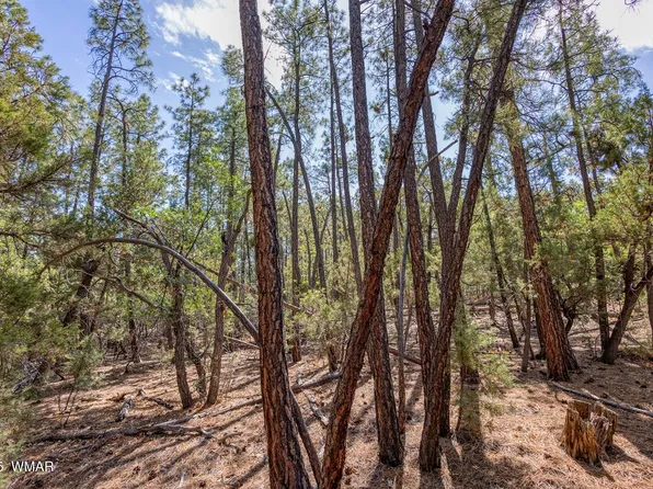 2038 Pine Wood Ln, Pinetop, AZ 85935